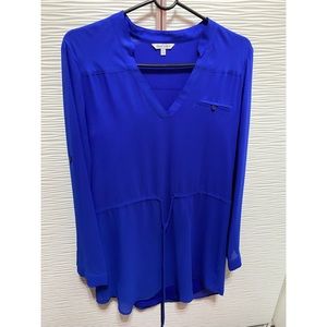 Royal blue shirt dress